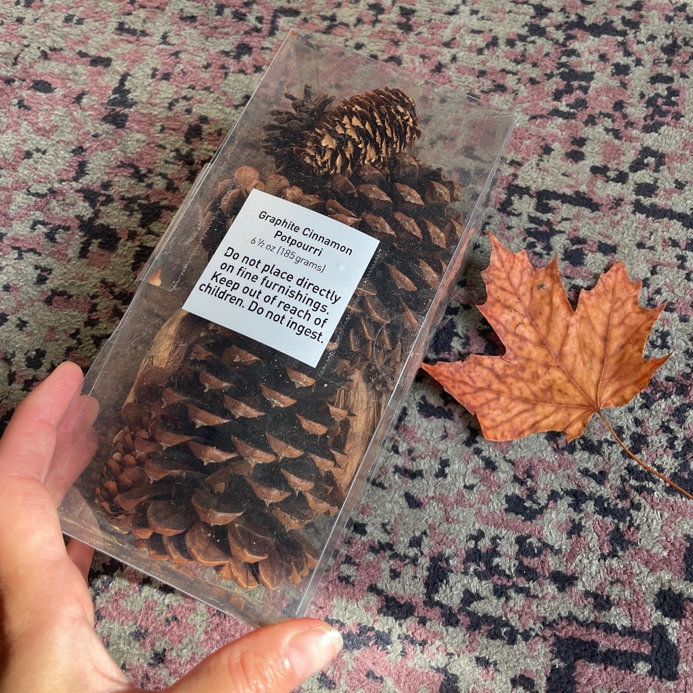 🍁 Potpourri Cinnamon Pinecones scented autumn decor